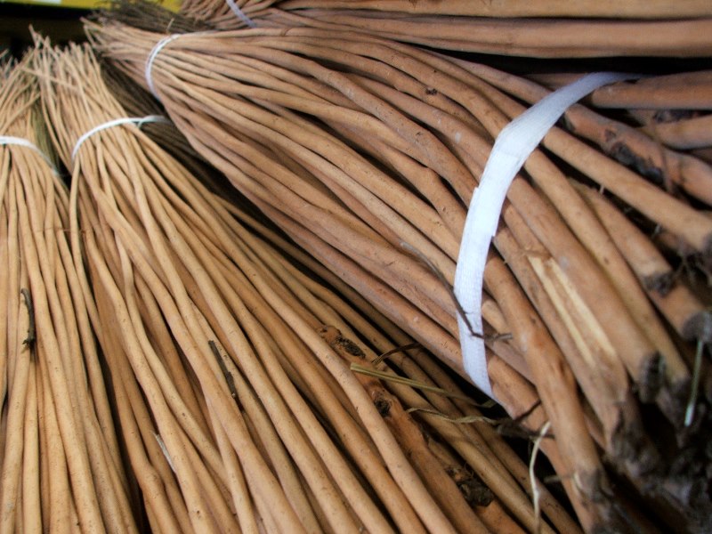 3 Colour Willow Withies