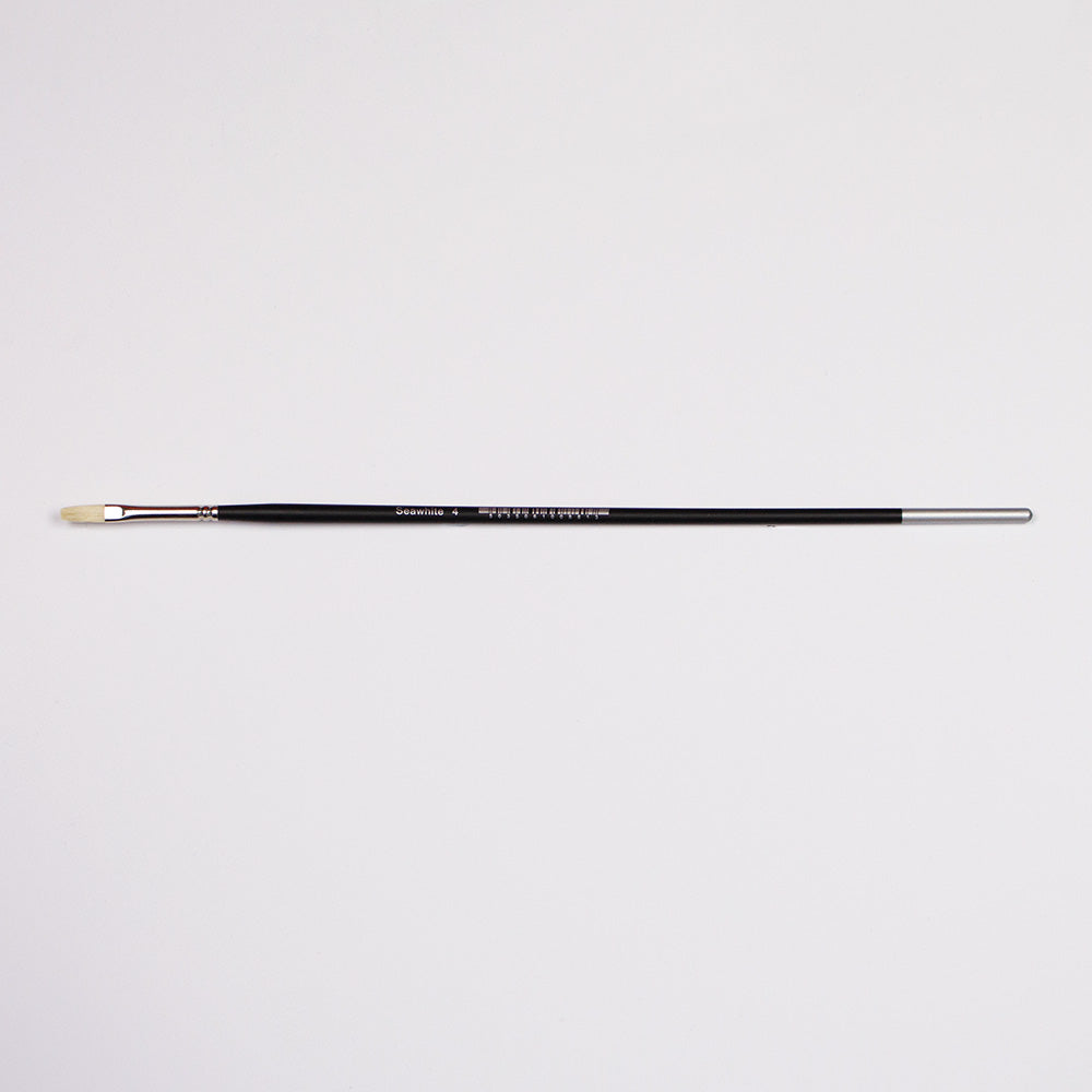 Professional Bristle Brush