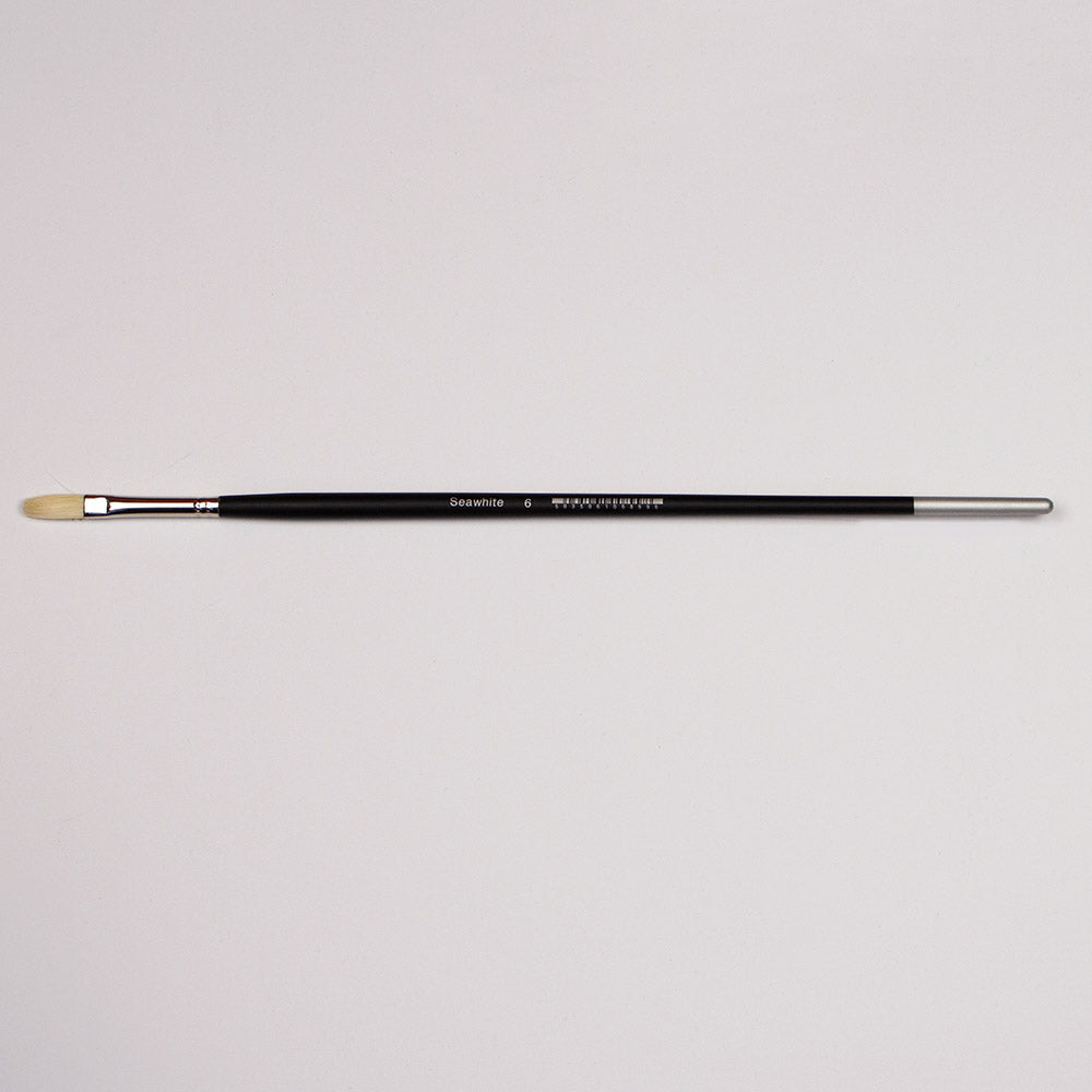 Professional Bristle Brush