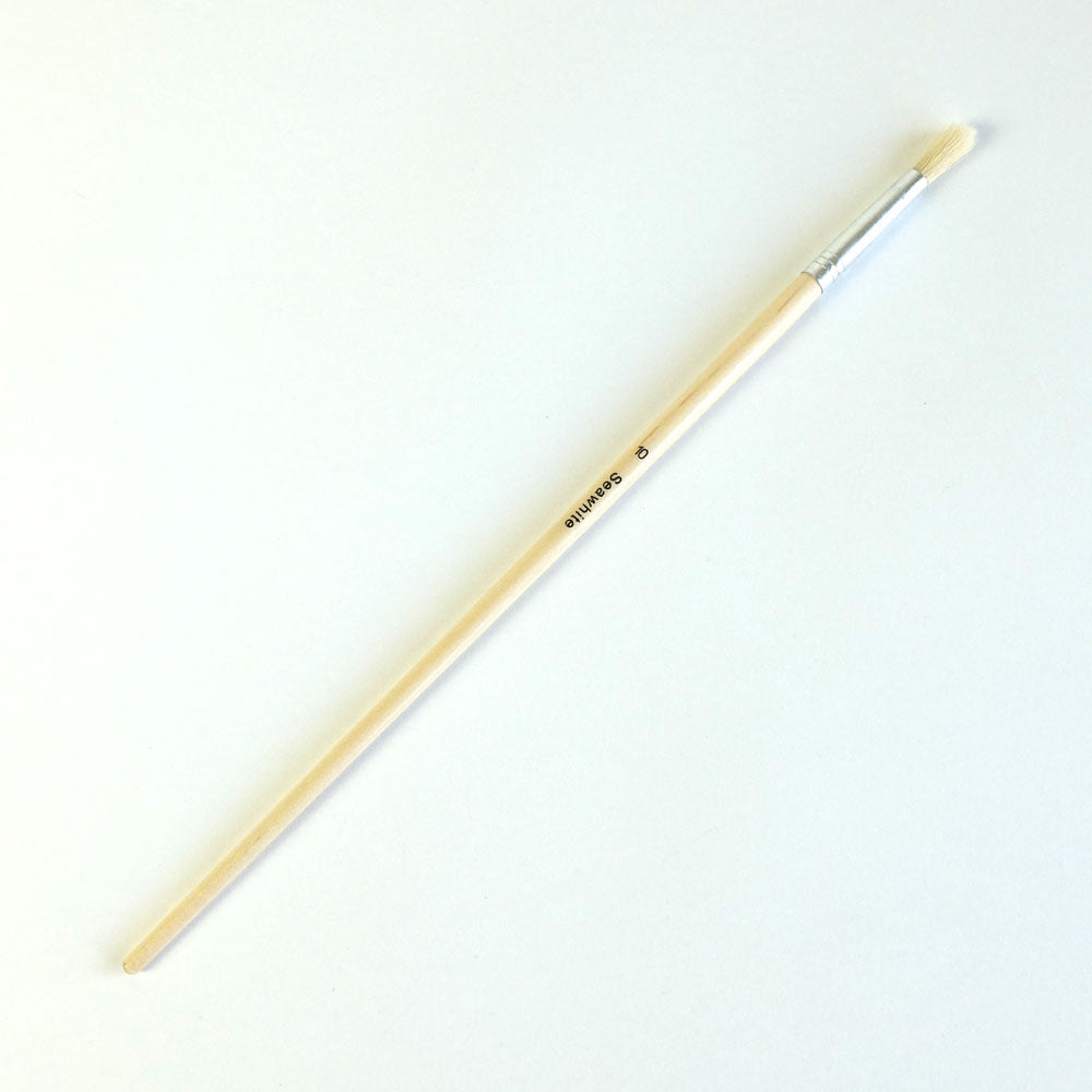 Hog's Hair Educational Brush, Pack of 50