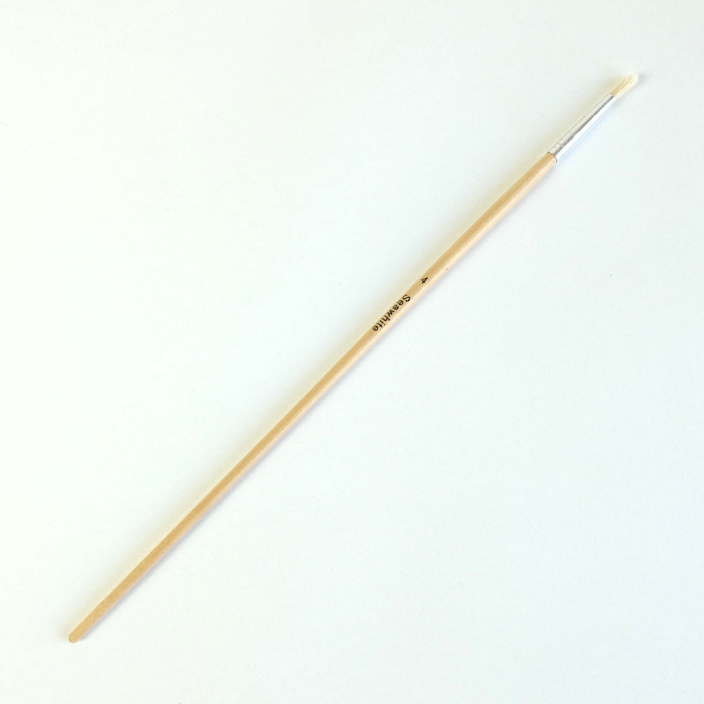 Hog's Hair Educational Brush, Pack of 50