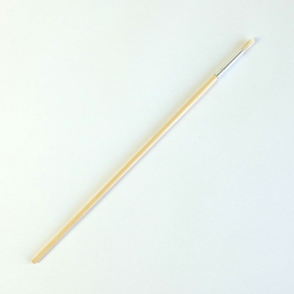 Hog's Hair Educational Brush, Pack of 50