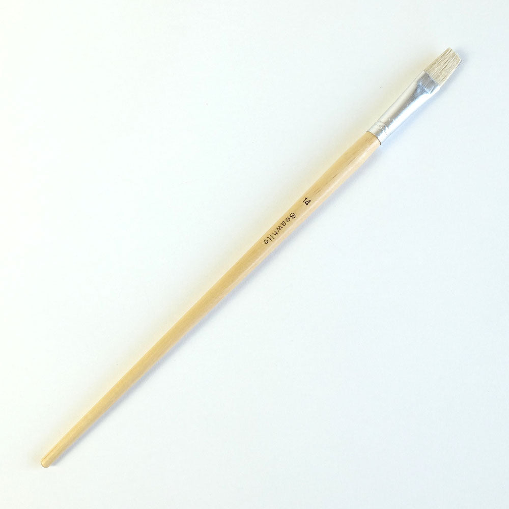 Hog's Hair Educational Brush, Pack of 50