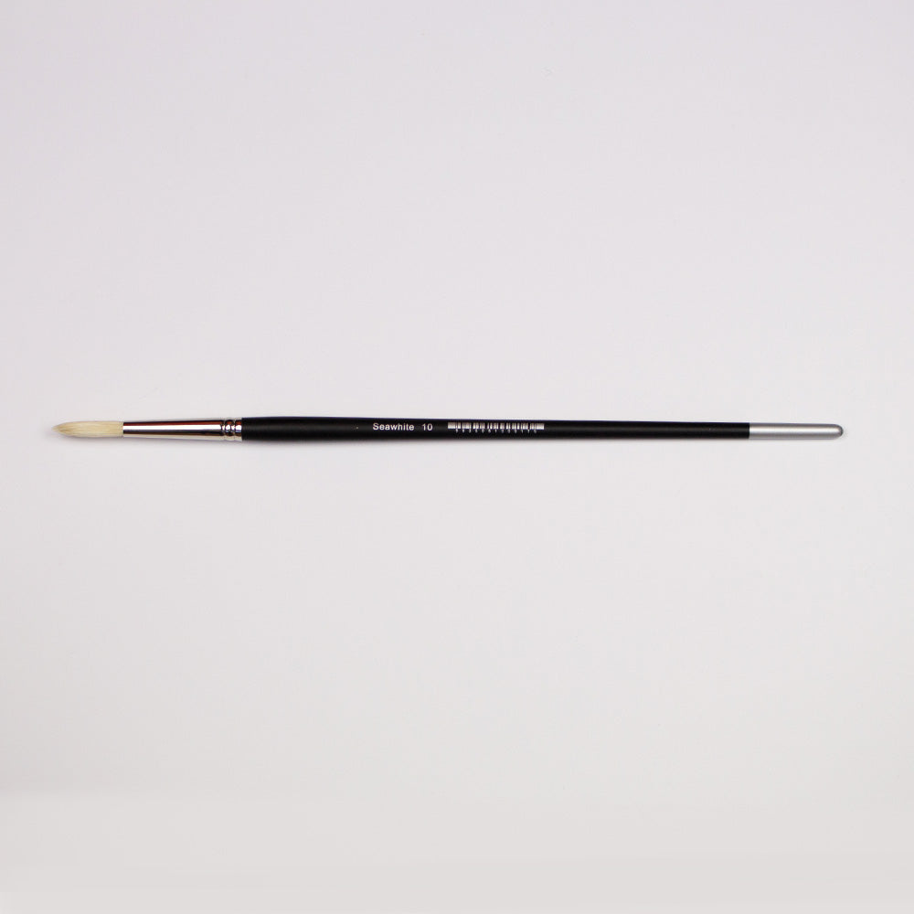 Professional Bristle Brush