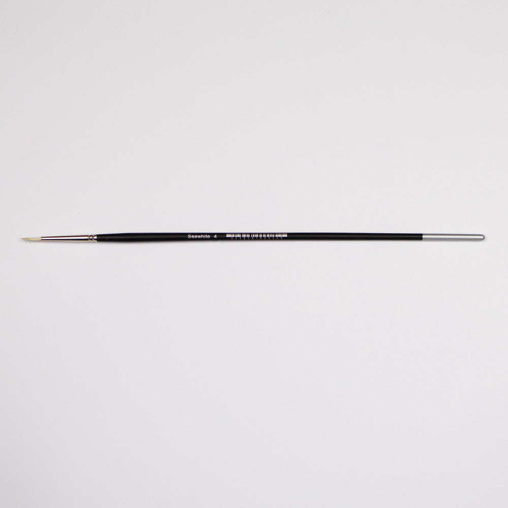 Professional Bristle Brush