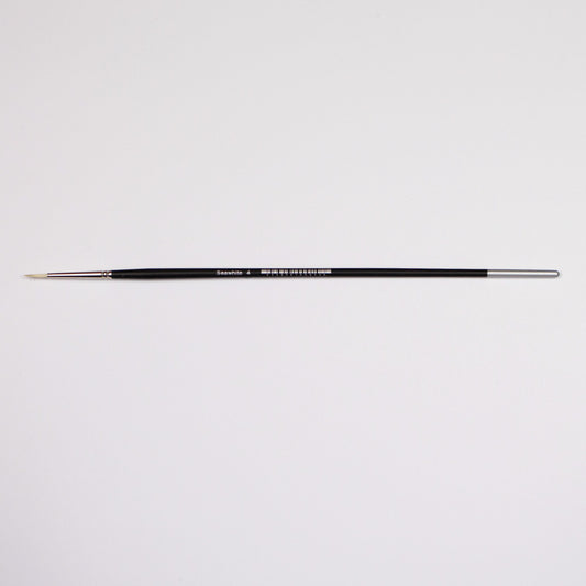 Professional Bristle Brush