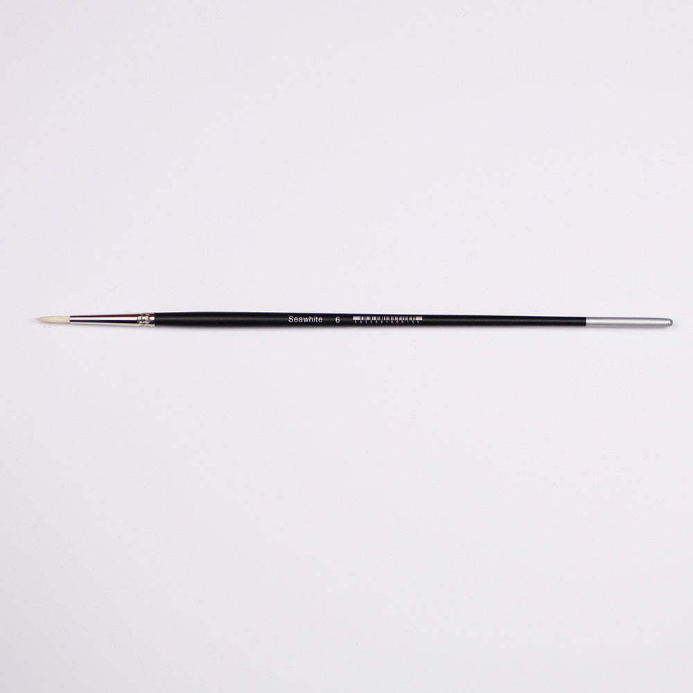 Professional Bristle Brush