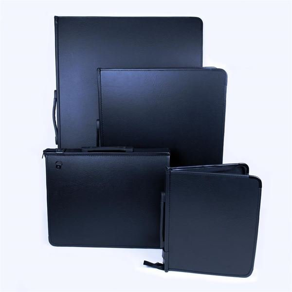 Professional Artcase